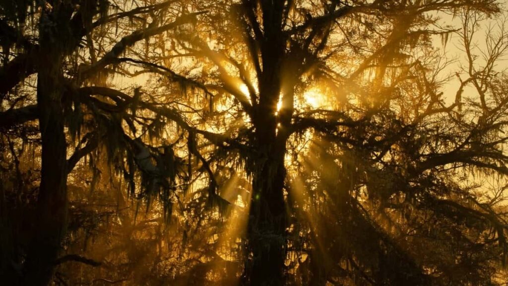 Kompletní přehled reklamních sazeb Snapchat USA 2025