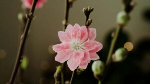 "Prakticky pruvodce pro ceske inzerenty: jak najit tvurce z Madarska na Xiaohongshu (RedNote), overit poptavku a rychle otestovat produkt."