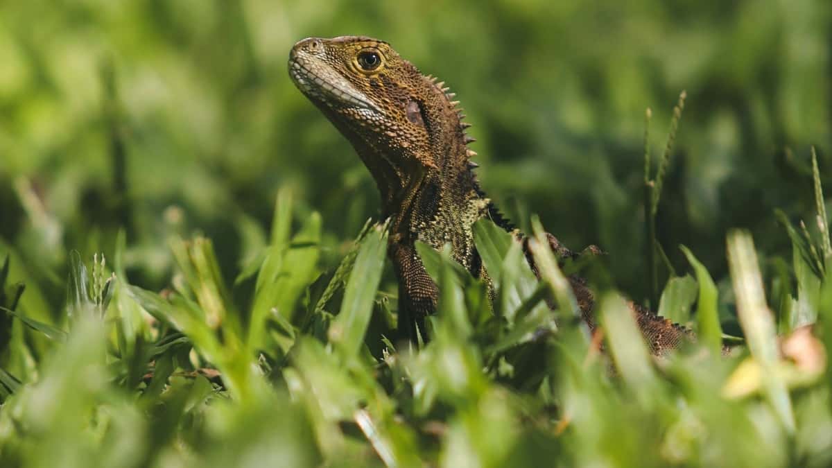Jak najít libanonské tvůrce na Etsy pro promo mobilních her?