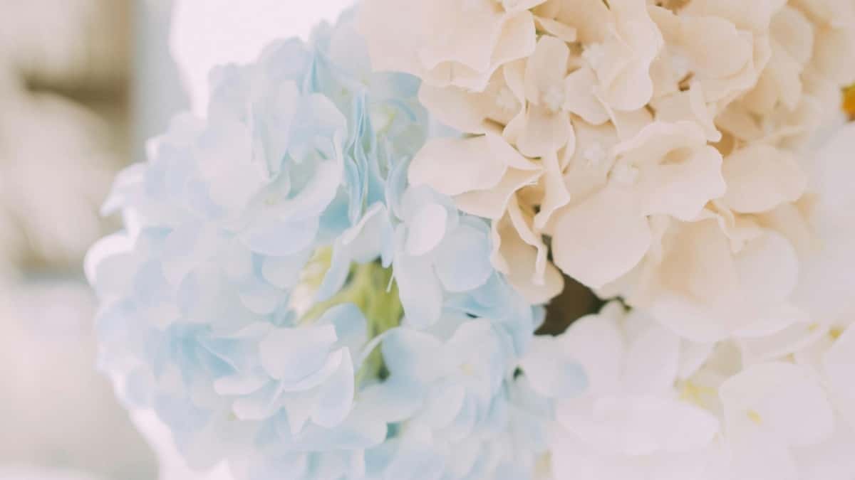 Jak najít jihoafrické LinkedIn tvůrce a zvýšit viditelnost produktu