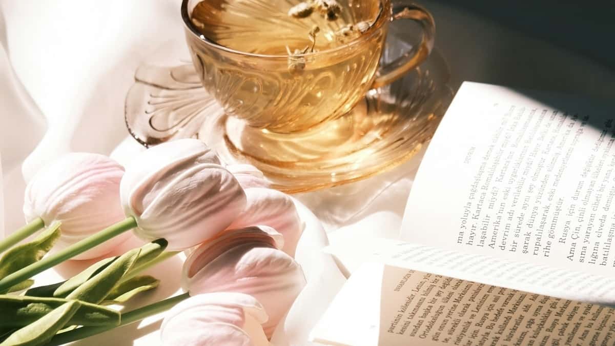 Marketéři: Najděte etiopské tvůrce na Bilibili rychle