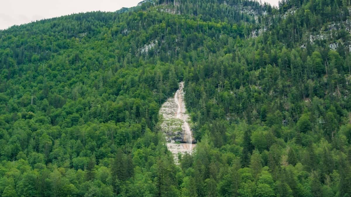 Tvůrci z ČR: Oslovte nizozemské značky na Line rychle