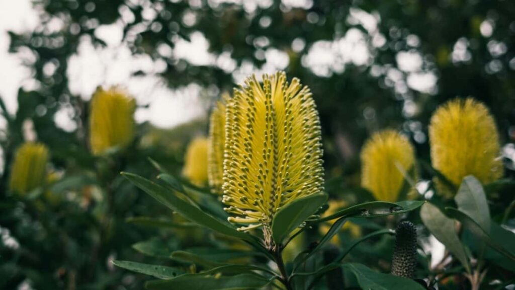 Prakticky pruvodce pro ceske inzerenty: kde ve Francii najit tvurce na Roposo, jak je oslovit na fixni honorar a co cekat od spoluprace v roce 2025.