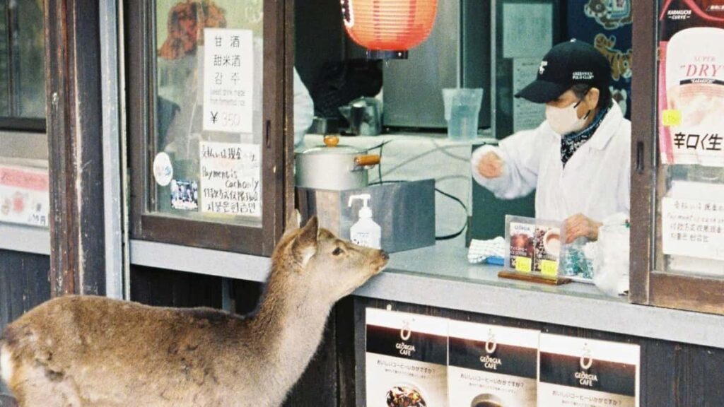 Prakticky navod pro ceske inzerenty: jak lokalizovane identifikovat a oslovit laoske LinkedIn tvurce pro spoluprace na makeup tutorialech.