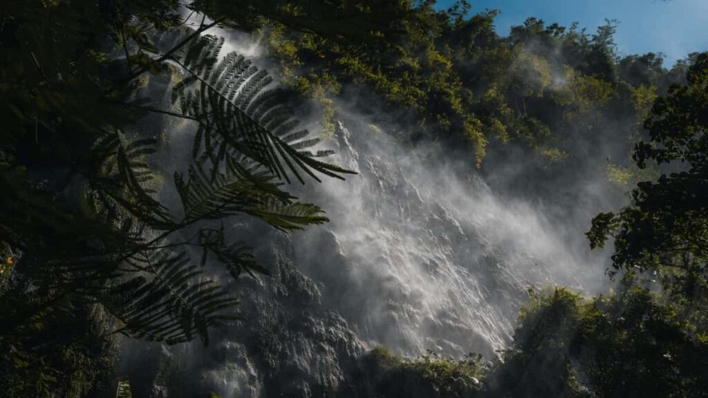 Prakticky navod pro tvurce z CR: jak najit, oslovit a ziskat bezplatne vzorky od tanzanskych znacek pres Line strategie, sablony zprav a rizika.