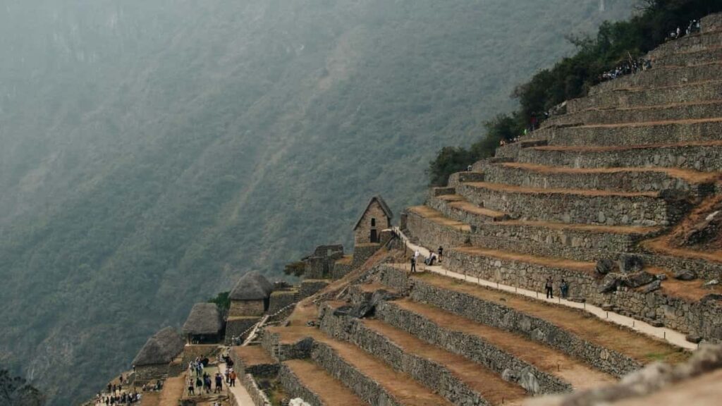 Prakticky navod pro ceske inzerenty: jak lokalizovat urugvajske Chingari tvurce, budovat duveru u publika a menit zapojeni na skutecne leady.