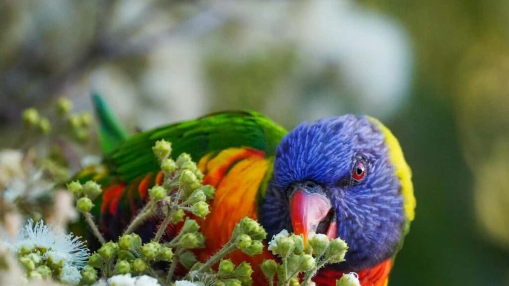 Prakticky pruvodce pro tvurce z CR: jak najit paraguayske znacky na Taobao, navazat kontakt a vytvorit hype pred spustenim produktu.