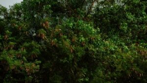 Prakticky navod pro ceske tvurce: jak najit, oslovit a spolupracovat se slovinskymi znackami pres Kuaishou krok za krokem, s tipy na lokalizaci, pitching a mereni vysledku.