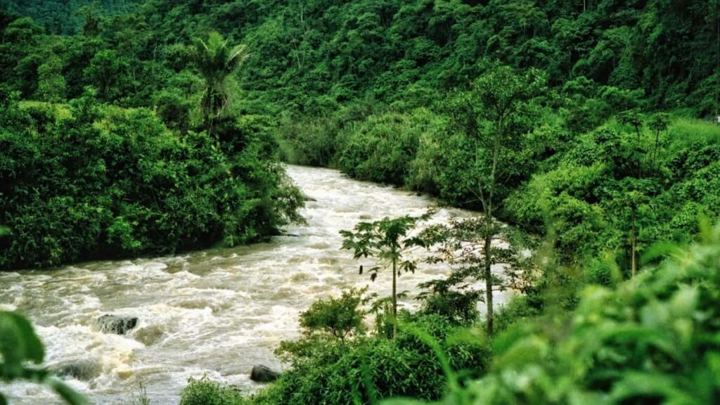 Prakticky pruvodce pro ceske inzerenty: jak vyhledat islandske OnlyFans tvurce a nasadit influencer kampane zamerene na wellness, s riziky, nastroji a lokalni strategii.