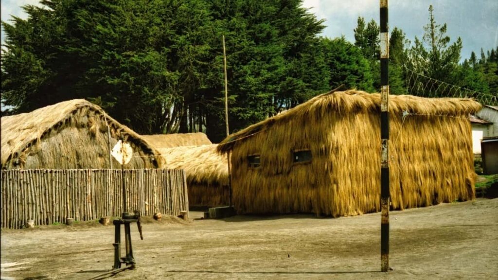 Prakticky pruvodce pro ceske tvurce: jak najit a oslovit tuniske znacky na Twitchu, koupit si duveru a ziskat bezplatne produktove vzorky.