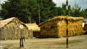 Prakticky pruvodce pro ceske tvurce: jak najit a oslovit tuniske znacky na Twitchu, koupit si duveru a ziskat bezplatne produktove vzorky.