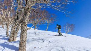 Prakticky pruvodce pro inzerenty z CR: jak najit a spustit limited edition drops s georgijskymi tvurci na KakaoTalk taktiky, rizika a rychly plan.