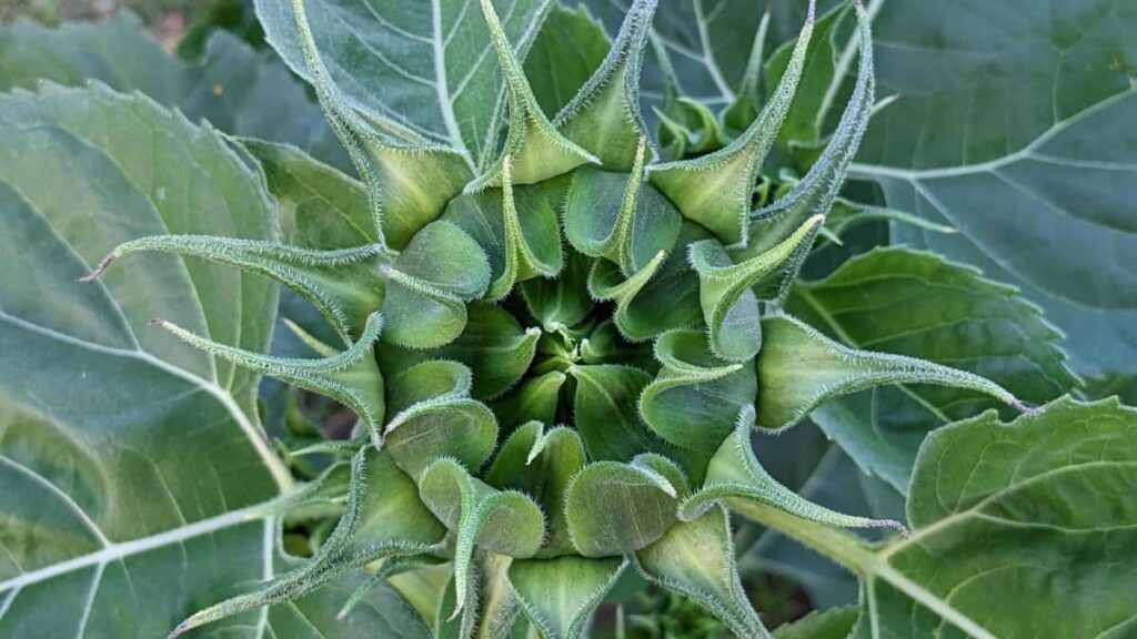 Prakticky pruvodce, jak oslovit znacky z Bosny a Hercegoviny pres KakaoTalk, vytvorit relevantni pitch a zvysit sance byt vybrany do brand kampani.