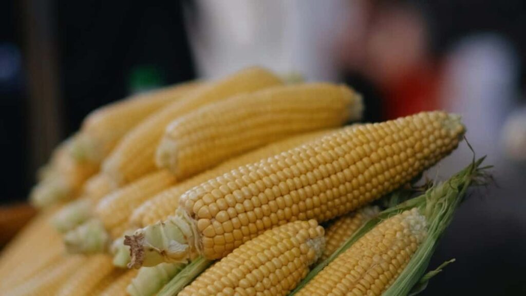 Prakticky pruvodce pro tvurce z CR: jak cilene oslovit norske znacky pres OnlyFans a nastavit stylingove vyzvy, s taktikami, priklady a bezpecnostnimi tipy.