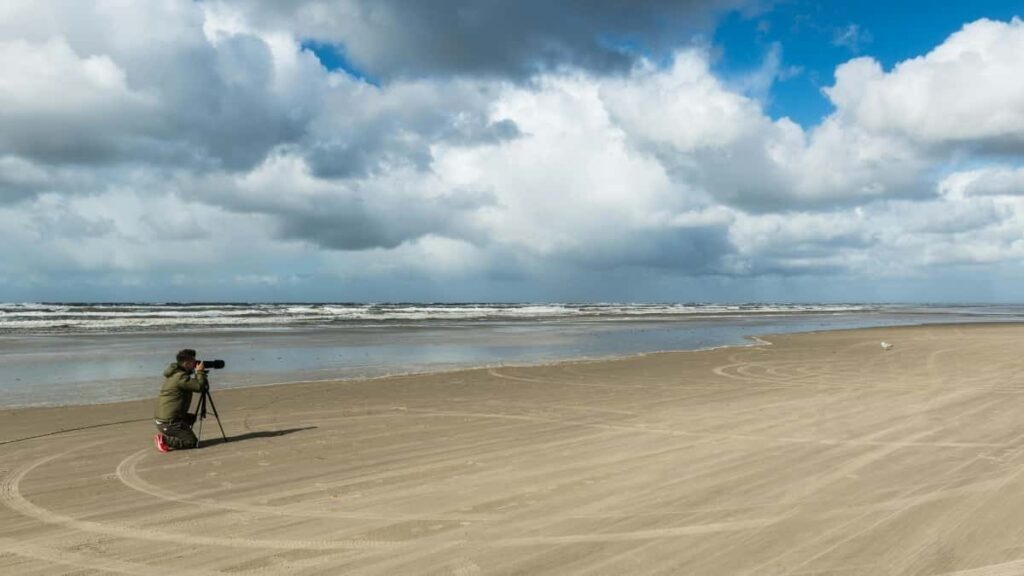 Prakticky pruvodce pro ceske inzerenty: jak najit a aktivovat Shopee tvurce v SAE, zlepsit lokalni duveru a konverze pomoci lokalizace, plateb a influencer strategii.