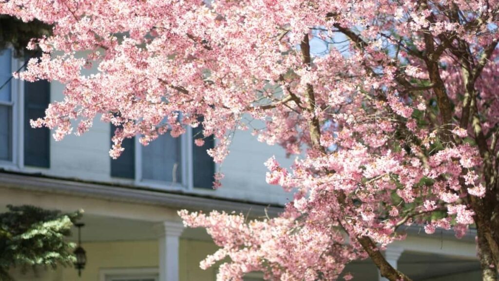 Prakticky pruvodce pro ceske tvurce: jak na TikToku najit, zaujmout a vybudovat reputaci u marockych znacek taktiky, lokalni nuance a realne priklady.