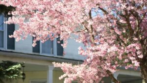 Prakticky pruvodce pro ceske tvurce: jak na TikToku najit, zaujmout a vybudovat reputaci u marockych znacek taktiky, lokalni nuance a realne priklady.