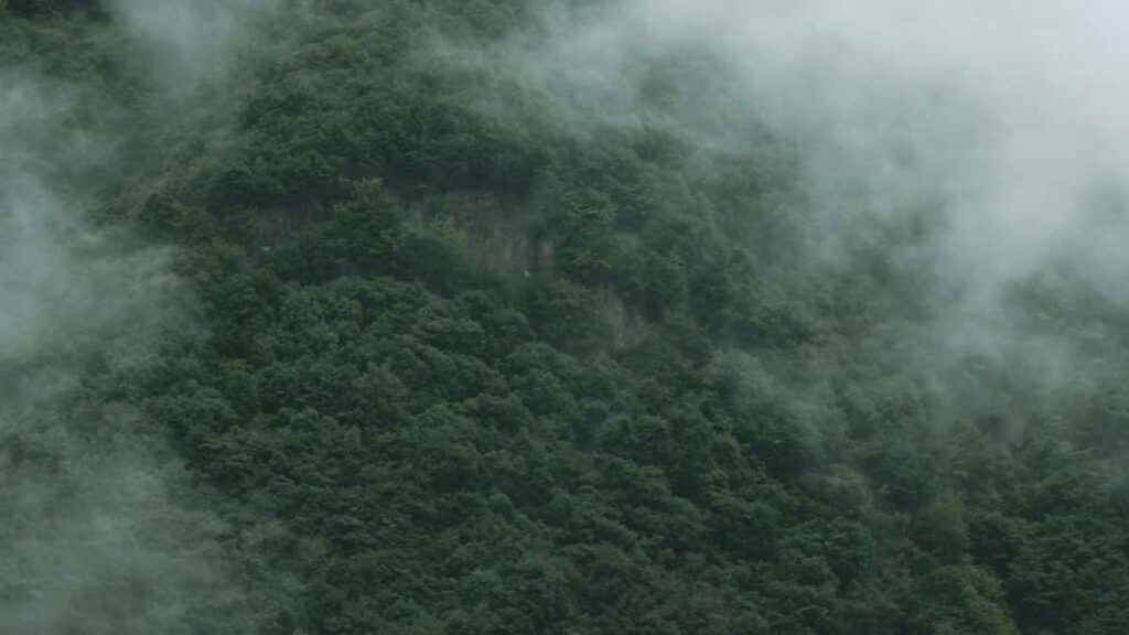 Prakticky pruvodce pro ceske a slovenske tvurce: jak najit, oslovit a spolupracovat se slovinskymi znackami na Shopee pri styling vyzvach.