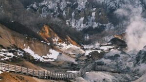 Prakticky pruvodce pro ceske a polske marketery jak identifikovat, oslovit a zapojit polske Netflixtvurce, aby zvysili viditelnost clean beauty znacek na socialnich sitich.